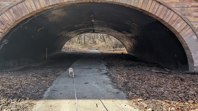 Forest Park forest trails - Queens, NY