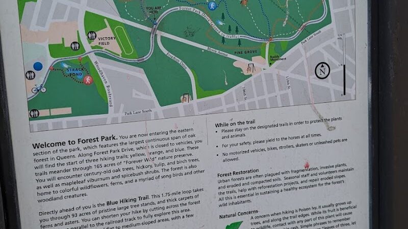 Forest Park forest trails - Queens, NY