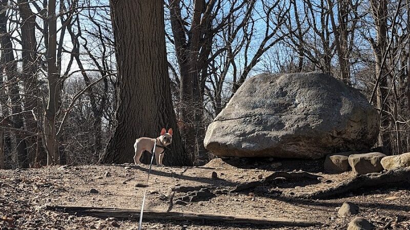 Forest Park forest trails - Queens, NY