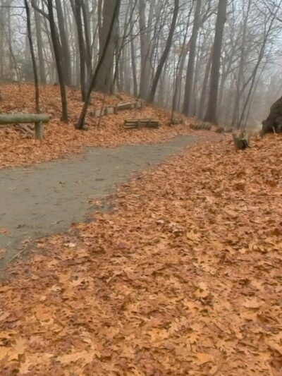 Forest Park forest trails - Queens, NY