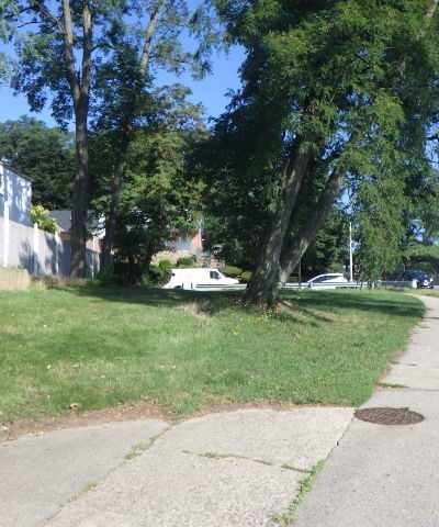 Clearview's Tail - Queens Village, NY