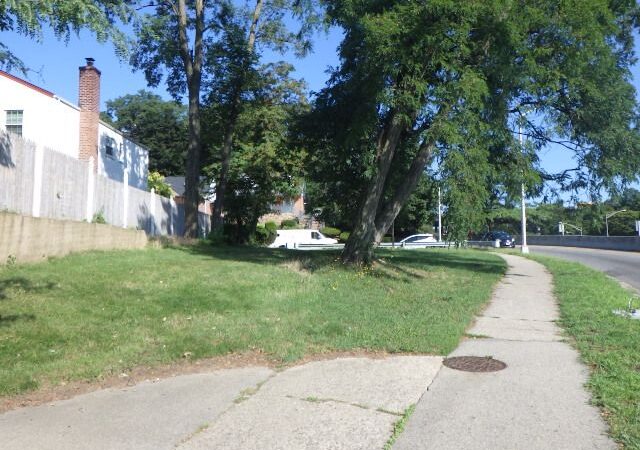 Clearview's Tail - Queens Village, NY