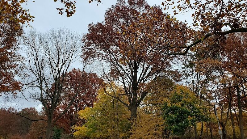 Cunningham Park Southeast Preserve Trail - Trailhead - Queens Village, NY
