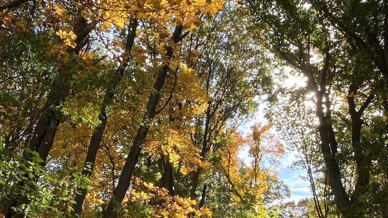 Cunningham Park Southeast Preserve Trail - Trailhead - Queens Village, NY