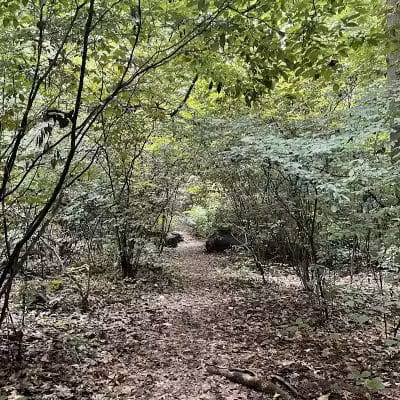 Cunningham Park Southeast Preserve Trail - Trailhead - Queens Village, NY