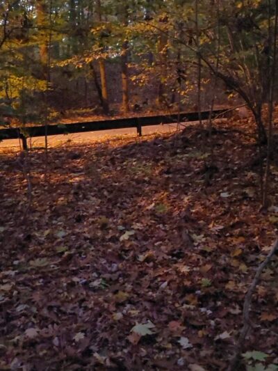 Cunningham Park Southeast Preserve Trail - Trailhead - Queens Village, NY