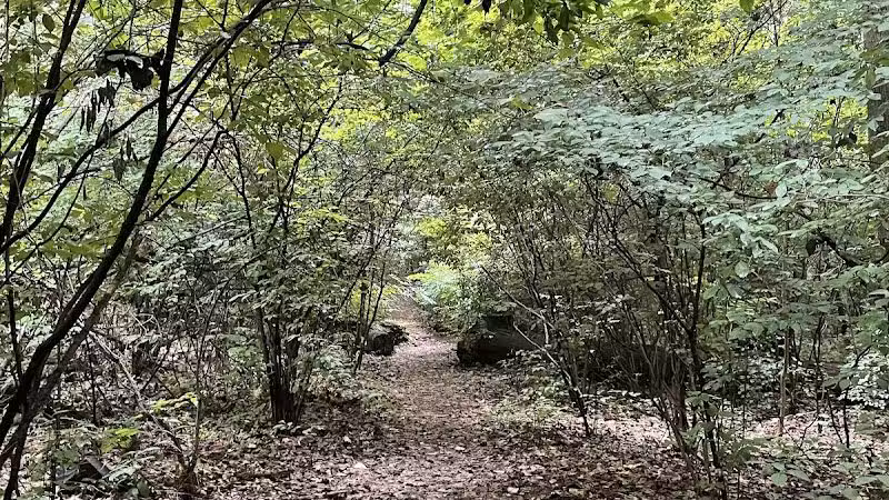 Cunningham Park Southeast Preserve Trail - Trailhead - Queens Village, NY
