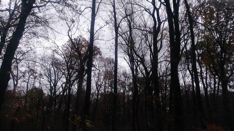 Cunningham Park Southeast Preserve Trail - Trailhead - Queens Village, NY