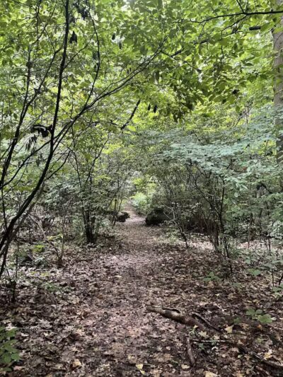Cunningham Park Southeast Preserve Trail - Trailhead - Queens Village, NY