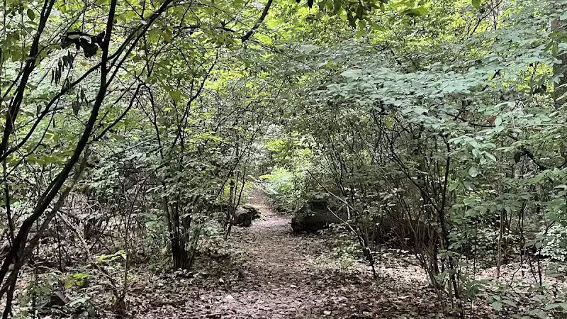 Cunningham Park Southeast Preserve Trail - Trailhead - Queens Village, NY