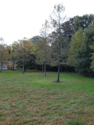 Alley Athletic Playground - Queens Village, NY