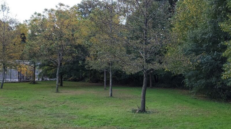 Alley Athletic Playground - Queens Village, NY