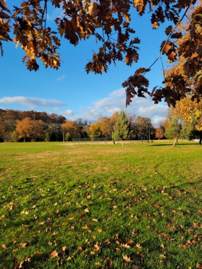 Alley Athletic Playground - Queens Village, NY