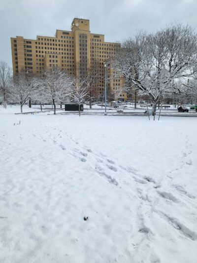 Alley Athletic Playground - Queens Village, NY