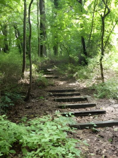 Potamogeton Pond - Queens Village, NY