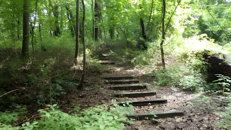 Potamogeton Pond - Queens Village, NY