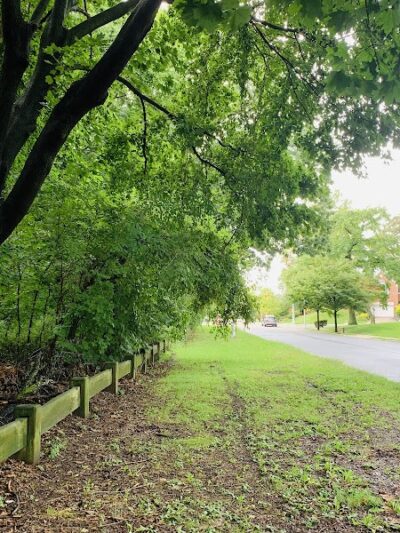 Potamogeton Pond - Queens Village, NY