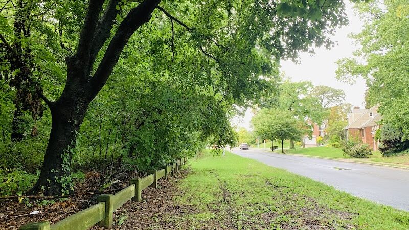 Potamogeton Pond - Queens Village, NY