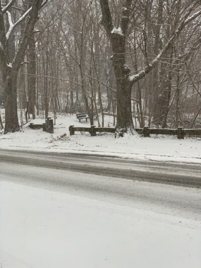 Potamogeton Pond - Queens Village, NY