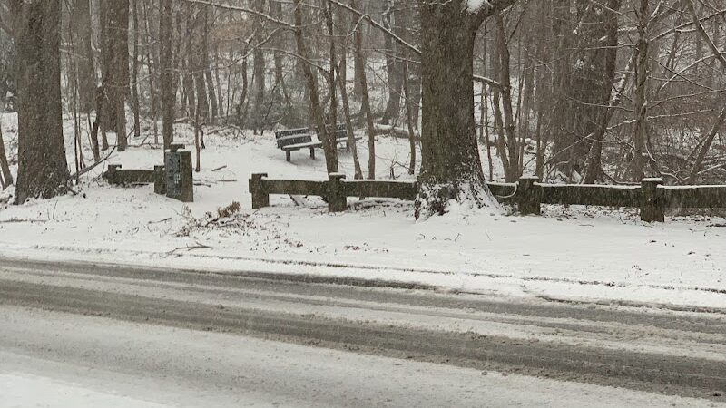 Potamogeton Pond - Queens Village, NY