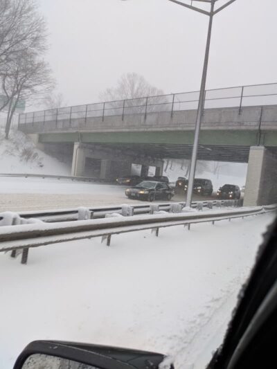 Potamogeton Pond - Queens Village, NY