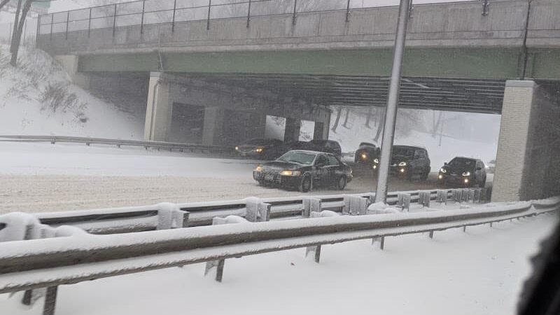 Potamogeton Pond - Queens Village, NY