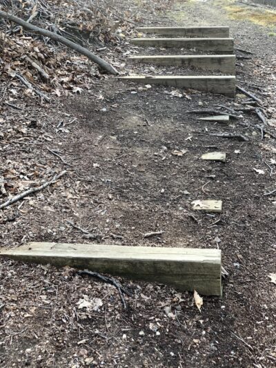 Potamogeton Pond - Queens Village, NY