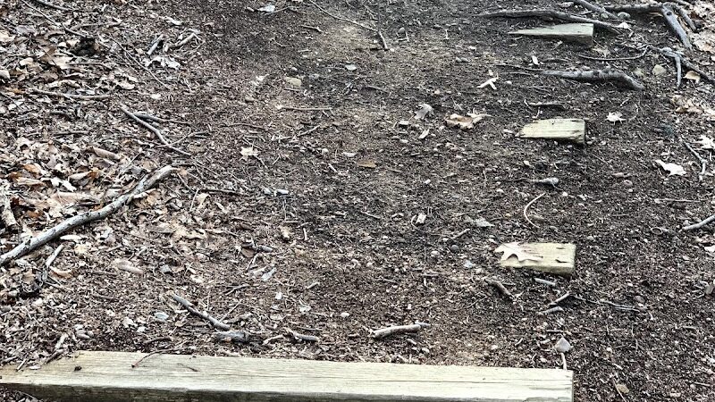 Potamogeton Pond - Queens Village, NY