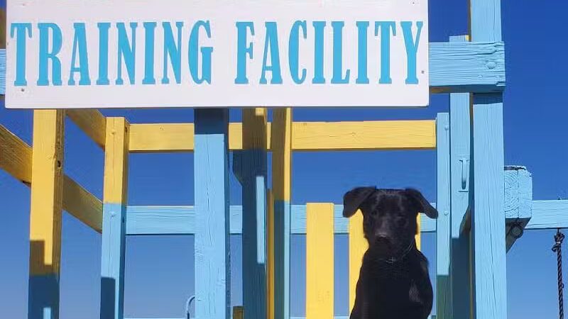 Blue Cord K9 - Raeford, NC