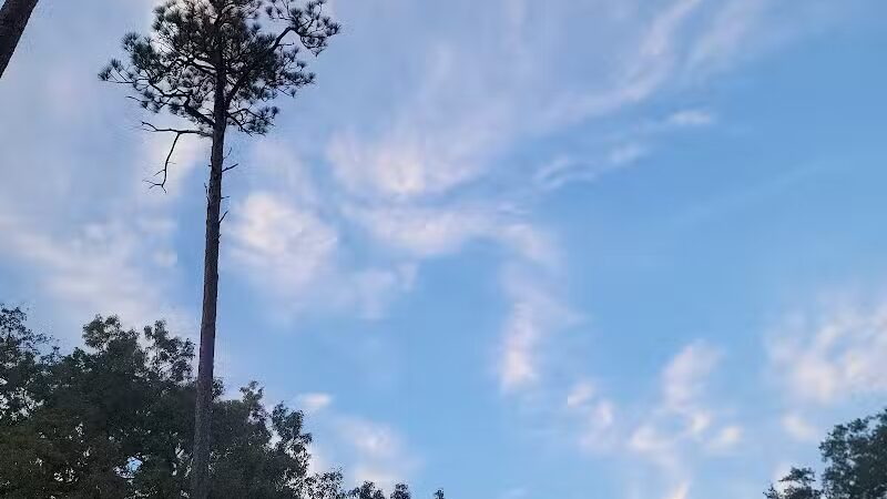 McLaughlin Park - Raeford, NC