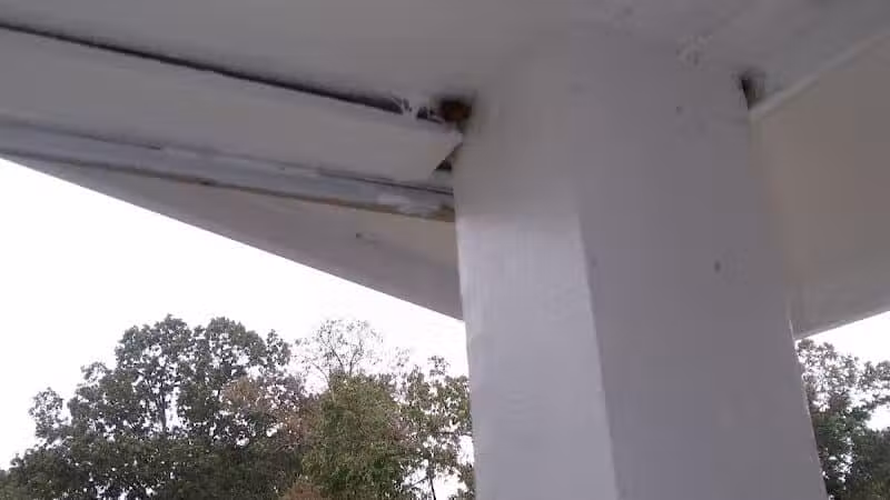 Puppy Creek Park Inc - Raeford, NC