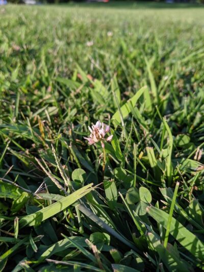 Freedom Park - Randolph, NJ