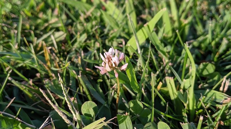 Freedom Park - Randolph, NJ