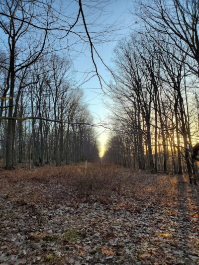 Hidden Valley Park - Randolph, NJ