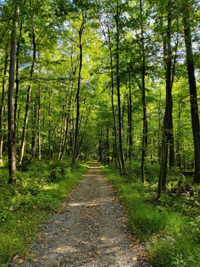 Hidden Valley Park - Randolph, NJ