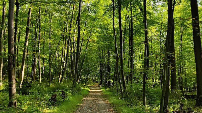 Hidden Valley Park - Randolph, NJ