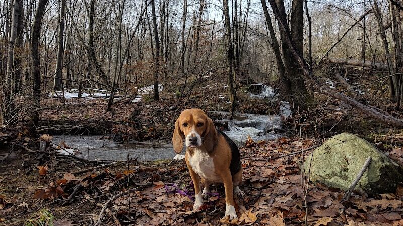 Hidden Valley Park - Randolph, NJ