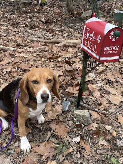 Hidden Valley Park - Randolph, NJ
