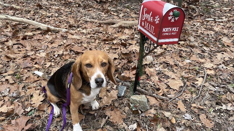 Hidden Valley Park - Randolph, NJ