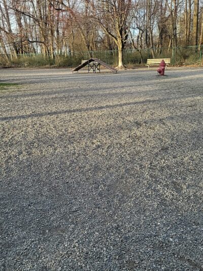 Randolph dog park - Randolph, NJ