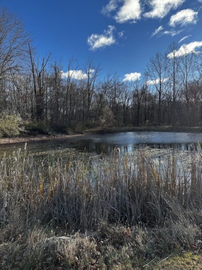 Randolph Fairy Trail - Randolph, NJ