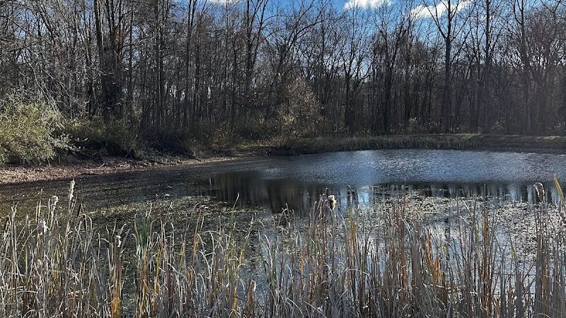 Randolph Fairy Trail - Randolph, NJ