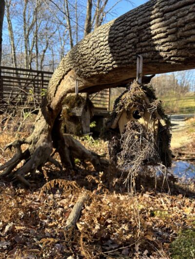 Randolph Fairy Trail - Randolph, NJ