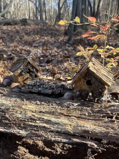 Randolph Fairy Trail - Randolph, NJ