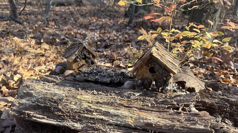 Randolph Fairy Trail - Randolph, NJ