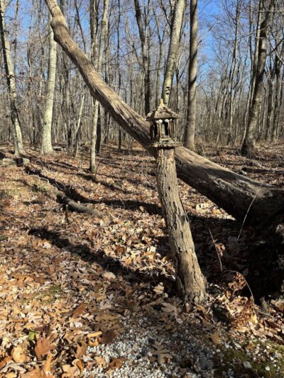 Randolph Fairy Trail - Randolph, NJ