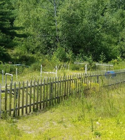 Riverside Bark Dog Park - Raymond, NH