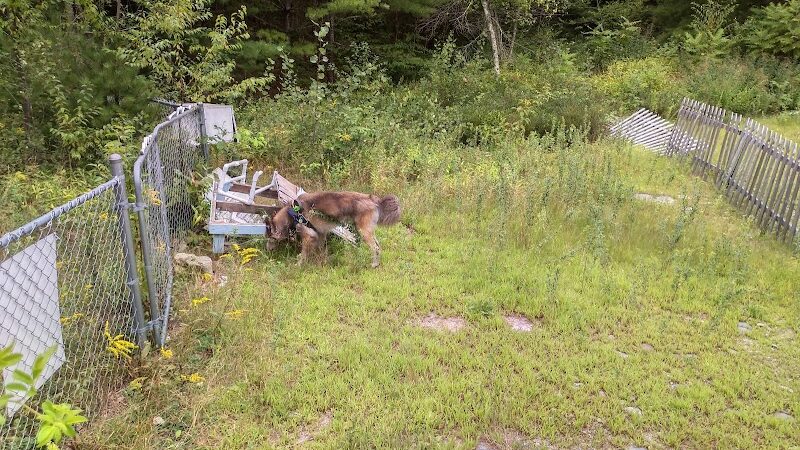 Riverside Bark Dog Park - Raymond, NH