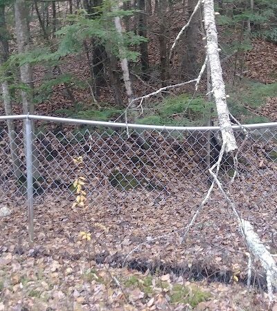 Riverside Bark Dog Park - Raymond, NH