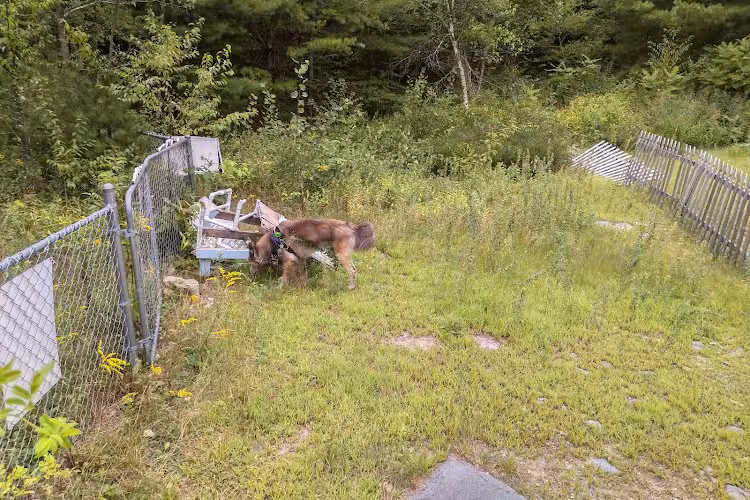 Riverside Bark Dog Park - Raymond, NH
